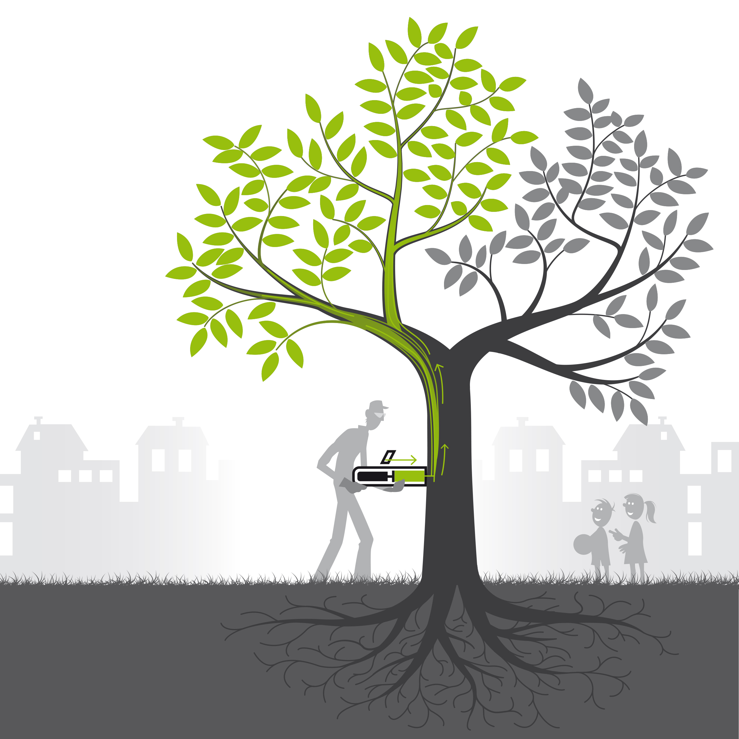 Avantages du traitement des arbres par micro-injection sécurisée