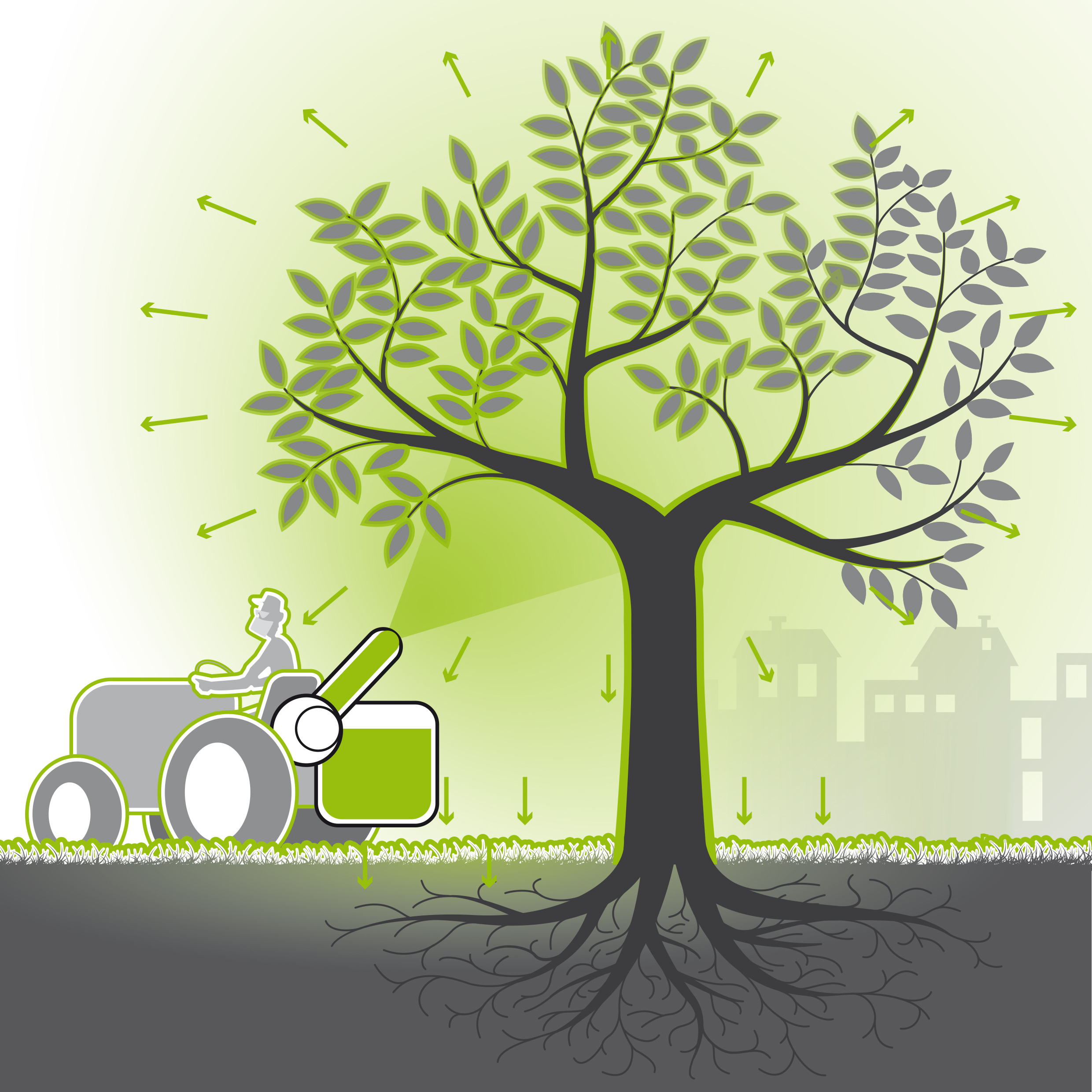 Dérives du traitement des arbres par pulvérisation.